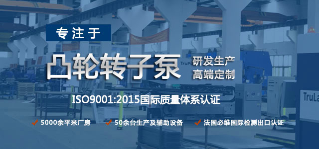 凸輪轉(zhuǎn)子泵生產(chǎn)廠家，專注于凸輪轉(zhuǎn)子泵的研發(fā)生產(chǎn)，高端定制